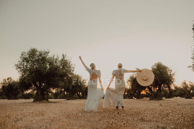 Esbeltas novias en vestidos de encaje cogidas de la mano - foto de stock