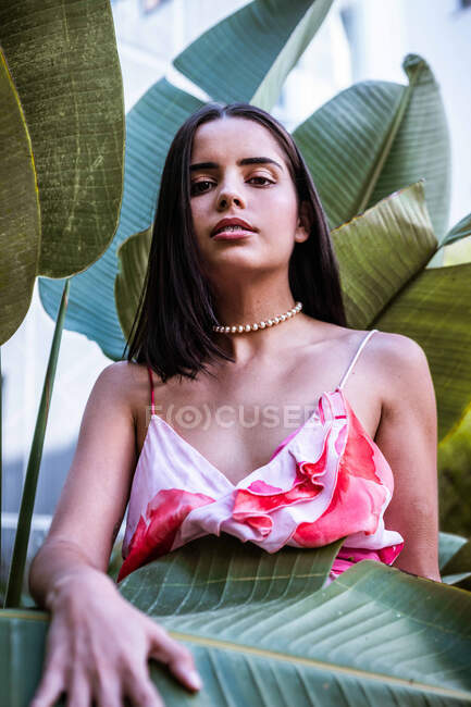 From below pretty serious stylish female with dark hair in bright clothes looking at camera surrounded by leaves of plant in nature — Stock Photo