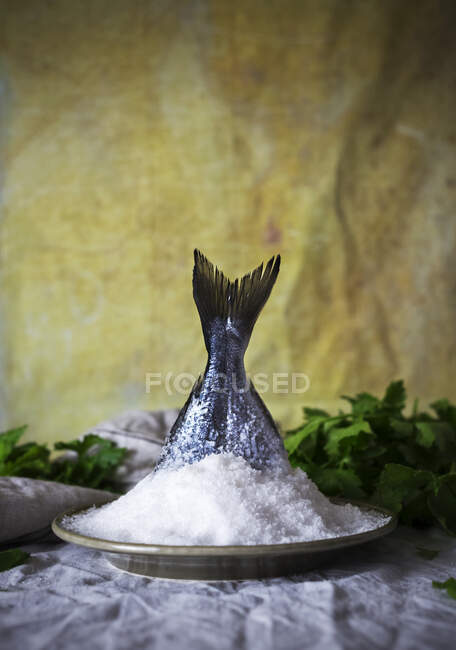 Body of fresh raw fish placed in heap of salt near parsley against yellow drapery — Stock Photo