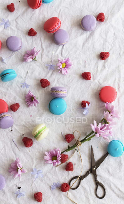 D'en haut ciseaux rétro et fleurs roses placés sur tissu blanc au milieu de macarons colorés savoureux et framboises fraîches — Photo de stock