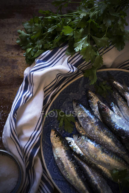 Salty anchovies with parsley — Stock Photo