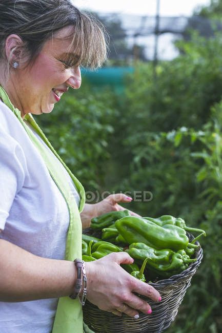 Giardiniere in grembiule che mostra peperoni verdi alla fotocamera — Foto stock