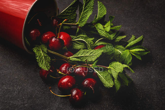 Gustose ciliegie mature appetitose con foglie che cadono dalla tazza rossa sulla superficie nera — Foto stock