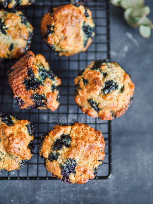 Muffin vegani fatti in casa ai mirtilli su rack di raffreddamento su sfondo scuro. Verticale. Vista dall'alto o piatto. — Foto stock