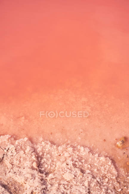 Сверху формируется природная минеральная соль на пляже красной лагуны с розовой водой летом — стоковое фото