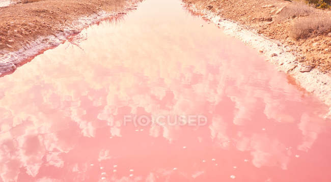 Salty pink water of red lagoon by sea coastline — Stock Photo