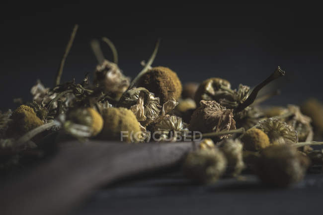 Close-up de montão de margarida seca em colher de madeira na mesa escura para fazer chá — Fotografia de Stock