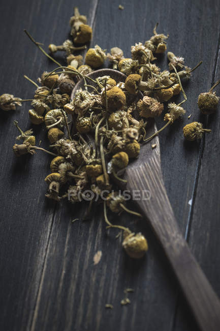 Крупним планом сушена ромашка в дерев'яній ложці на темному столі для приготування чаю — стокове фото