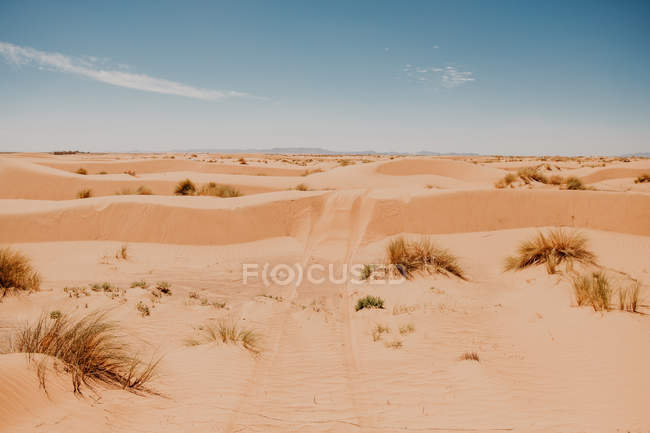 Sentieri dalle ruote dei veicoli sulle dune sabbiose nel deserto arido la giornata di sole in Marocco — Foto stock