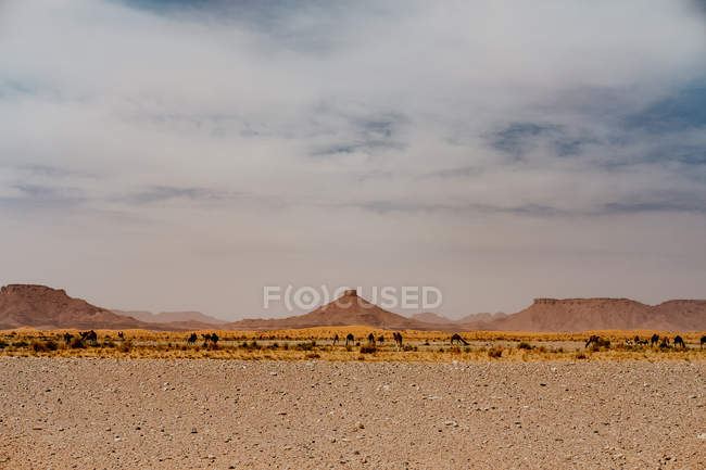Cielo nuvoloso soleggiato su colline e rocce nel deserto arido la sera in Marocco — Foto stock