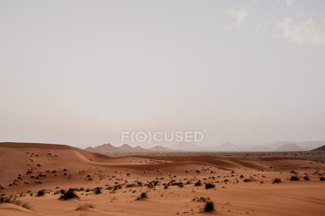 Collina dalla sabbia asciutta in mezzo al grande deserto contro il cielo grigio in Marocco — Foto stock