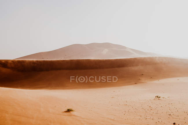 Hill from dry sand in middle of large desert against gray sky in Morocco — Stock Photo