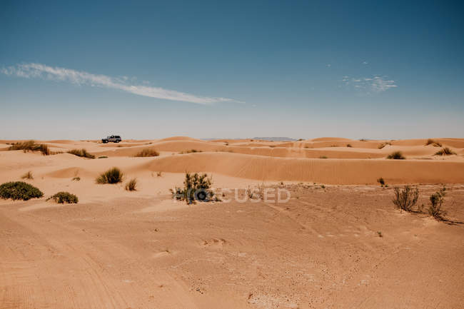 У сонячний день у Марокко стежки з коліс на піщаних дюнах. — стокове фото