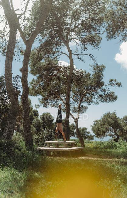 Sportlicher bärtiger Mann praktiziert Yoga-Asana im Handstand auf einer idyllischen Wiese vor blauem Himmel — Stockfoto
