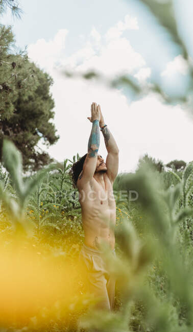 Esportivo barbudo macho meditando no tranquilo prado idílico contra o céu azul — Fotografia de Stock