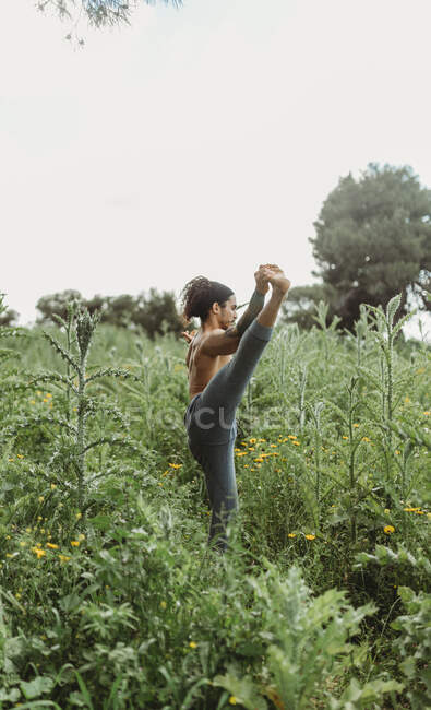 Treinamento masculino barbudo esportivo no prado idílico tranquilo e fazendo ioga asana contra o céu azul — Fotografia de Stock