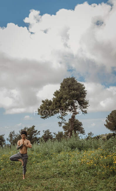 Entrenamiento masculino deportivo barbudo en un prado idílico tranquilo y haciendo yoga asana contra el cielo azul - foto de stock