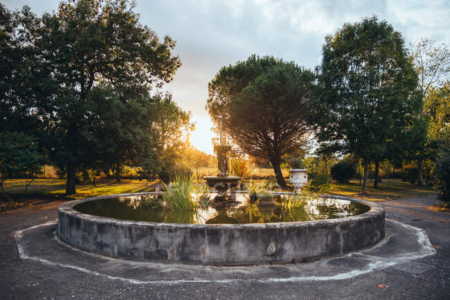 Старий кам'яний круглий фонтан у безлюдному парку під час золотого заходу сонця в літній час — стокове фото