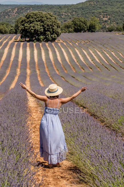 Femme aux bras tendus debout dans un champ de lavande — Photo de stock