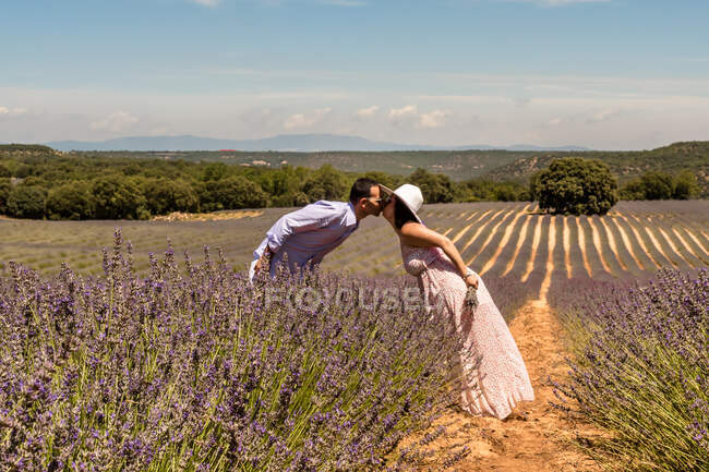 Side view of loving couple bending towards each other and kissing while walking on blooming purple lavender field on summer day — Stock Photo