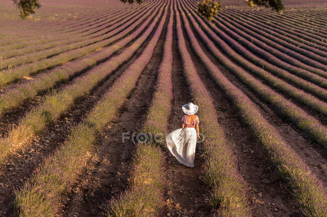 Жінка стоїть в лавандовому полі — стокове фото