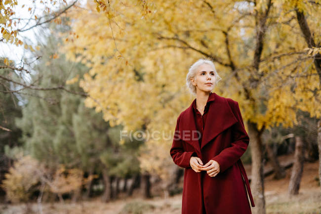 Приваблива жінка в яскравому пальто, що йде по вічнозеленому лісу — стокове фото
