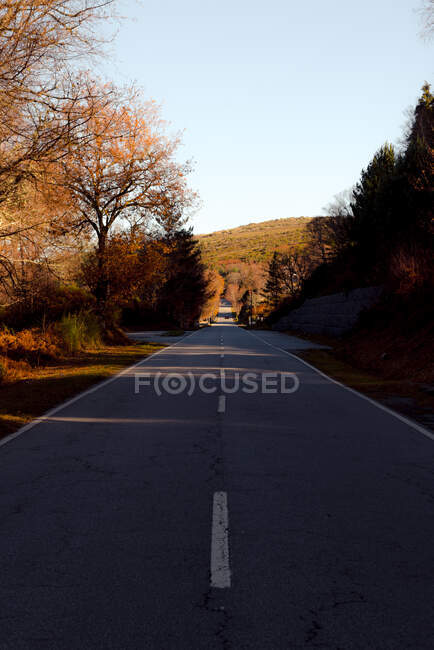 Arbres d'automne poussant sur les côtés de la route asphaltée droite contre ciel bleu sans nuages par une journée ensoleillée à la campagne — Photo de stock