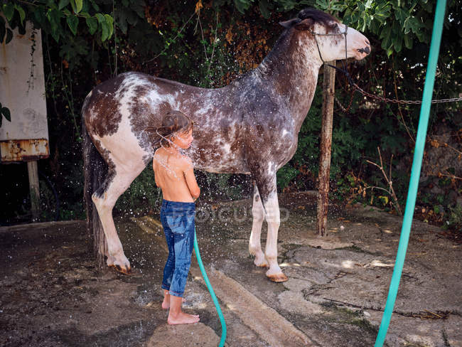 Vista lateral del chico descalzo lavando semental con agua dulce en la terraza de la granja - foto de stock