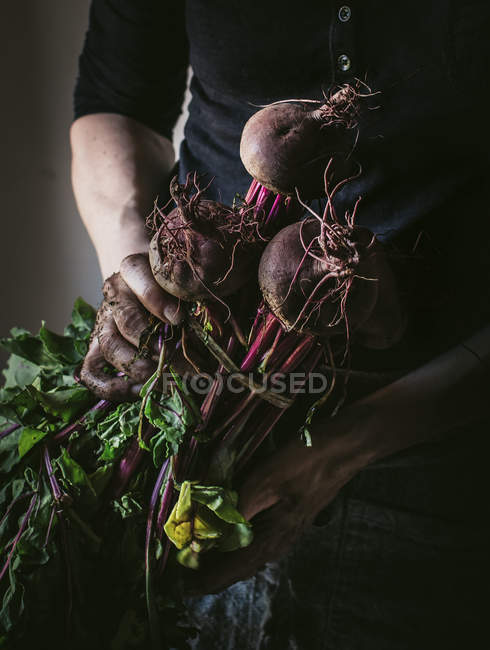 Unrecognizable woman holding bunch of ripe beetroots in hands — Stock Photo