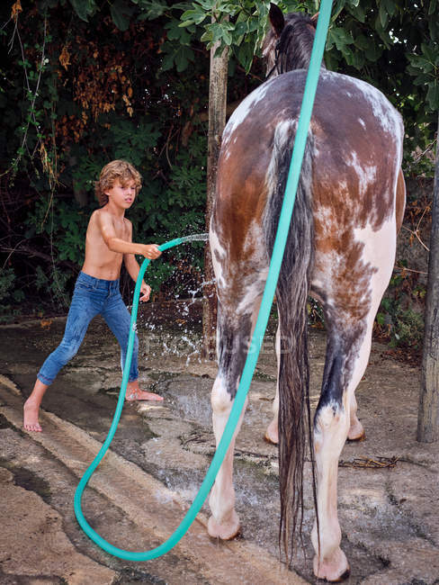 Вид збоку на босоніж хлопчика, що шлангує з жеребцем з прісною водою на фермі терасі — стокове фото