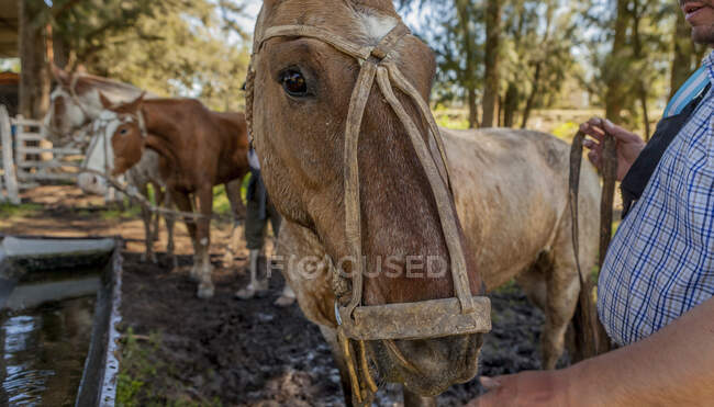 Uomo che trasporta le staffe del cavallo — Foto stock