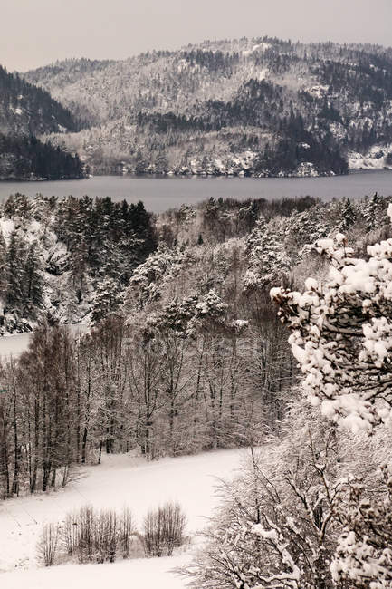 Сільська мальовнича горбиста долина з снігом вкриває дерева та береги озера в похмуру погоду в Норвегії. — стокове фото