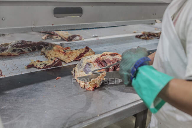 Crop image of well equipped worker in white uniform cutting meat with knife in light industrial room of slaughterhouse — Stock Photo
