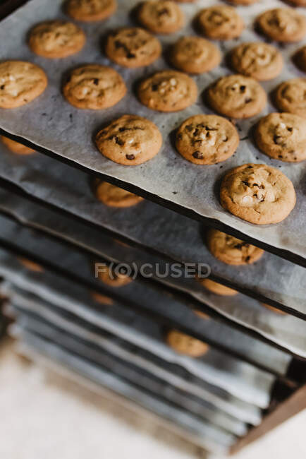 De arriba las galletas sabrosas frescas, puestas a las bandejas a la estantería en la panadería - foto de stock