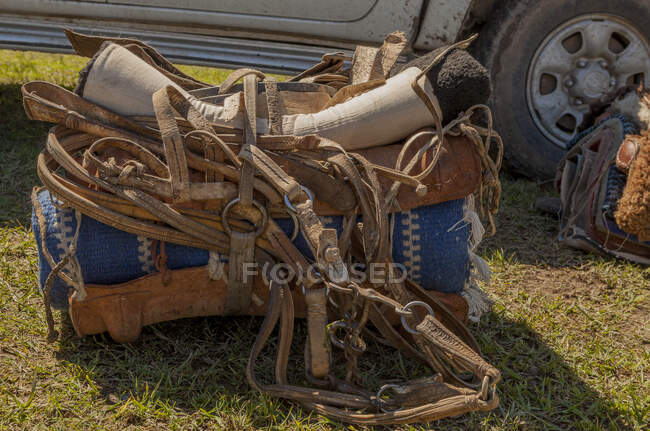De cima selas e bridles ordenadamente dobrado na grama seca perto de rodas de carro no dia ensolarado — Fotografia de Stock