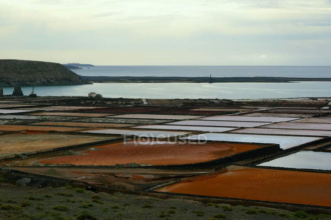 Amazing unusual bright fields in Lanzarote Canary islands Spain — Stock Photo