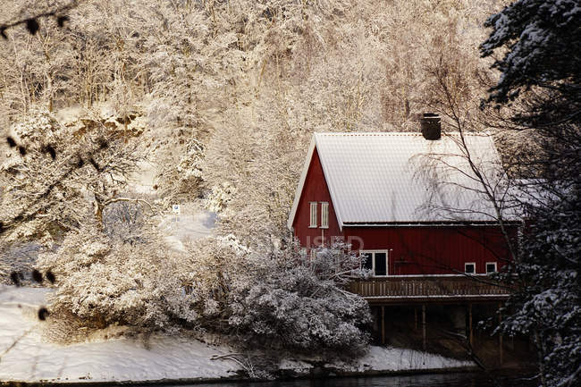 Maison de campagne confortable de couleur rouge sur le rivage d'une rivière isolée entourée d'arbres blancs givrés dans les bois d'hiver — Photo de stock