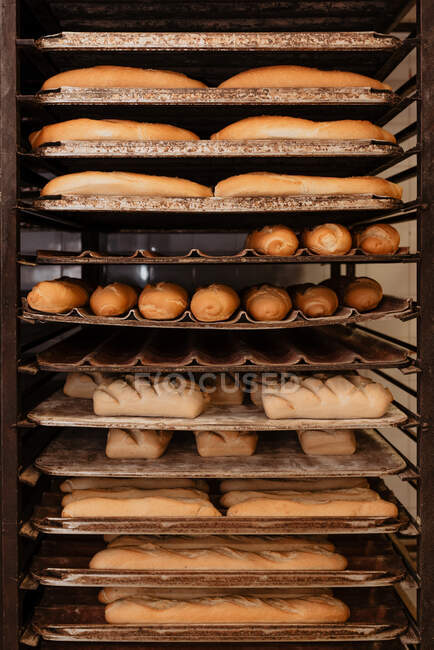 Лоферы вкусного свежего хлеба и булочки, помещенные на металлические подносы на стойке в пекарне — стоковое фото