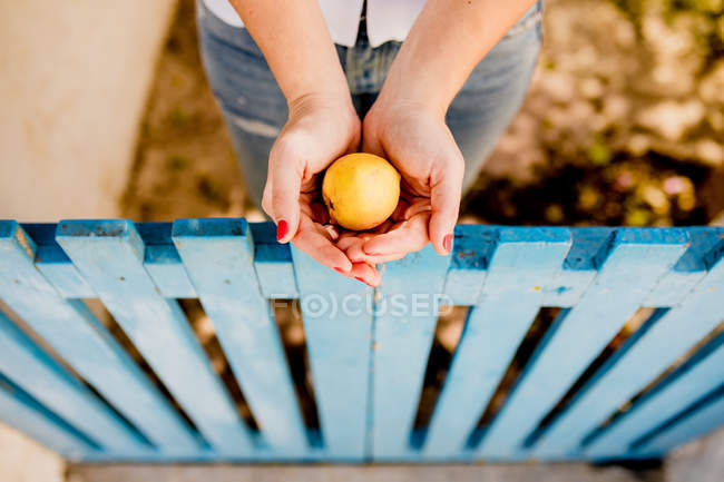 Imagem cortada de mulher segurando maçã amarela sobre cerca de madeira baixa no verão no fundo borrado — Fotografia de Stock