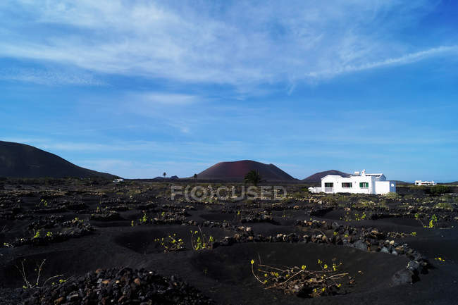 Picturesque view of volcanic terrain and white house with solidified lava in wild area on island of Lanzarote Espagne — Photo de stock
