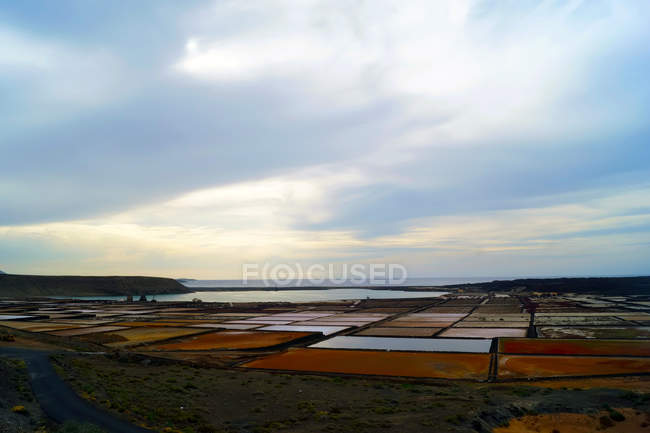 Amazing unusual bright fields in Lanzarote Canary islands Spain — Stock Photo