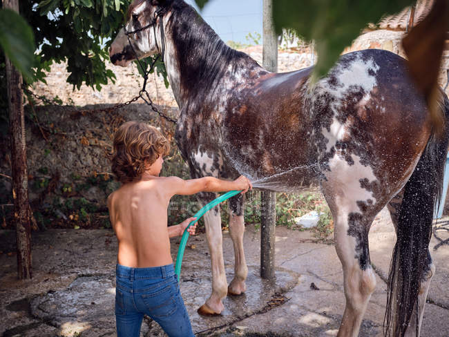 Back view of barefoot boy hosing down stallion with fresh water on farm terrace — Stock Photo