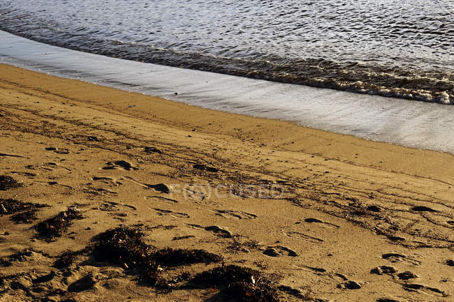 Wet sandy shore on daytime in North beach — Stock Photo