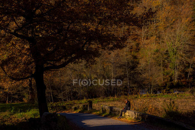 Vista lateral da fêmea sentada sozinha na fronteira resistida perto do caminho do asfalto no dia ensolarado no belo parque de outono — Fotografia de Stock