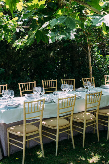 Table de fête rustique extérieure avec couverts et verres — Photo de stock