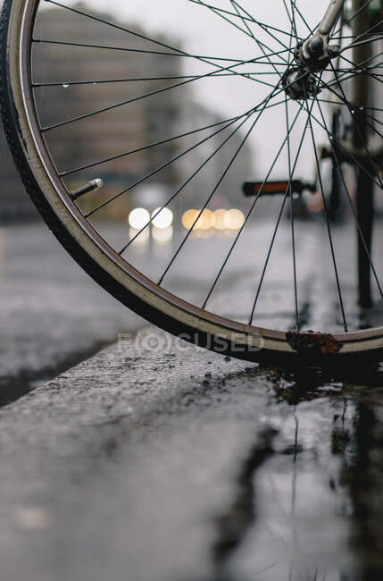 Wet bicycle wheel on road — Stock Photo