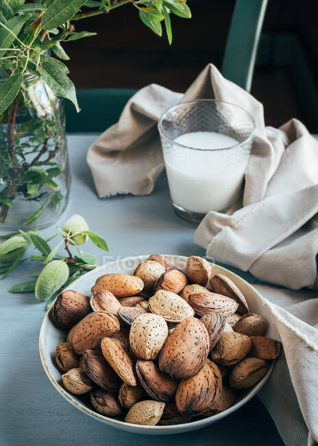 Glass of white almond milk next to bowl of almonds in shells and green twigs on kitchen table — Stock Photo