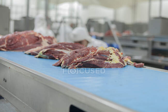 Свежее сочное питание рубленое на ломтиках мяса, готовое на стальном конвейере с голубой поверхностью на скотобойне — стоковое фото
