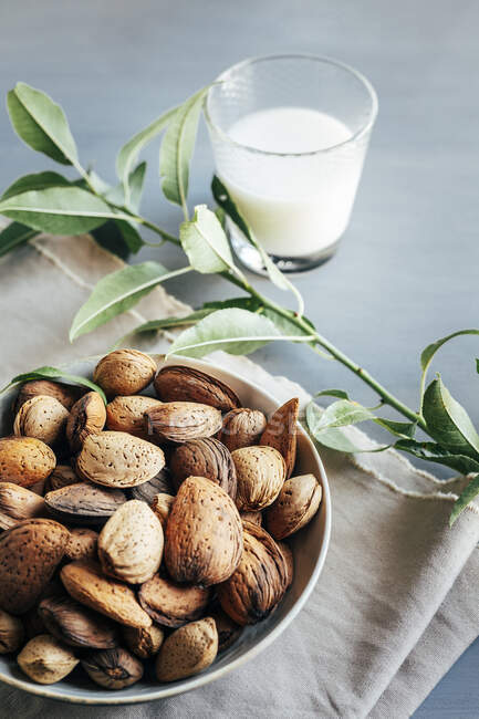 Glass of almond milk next to plate of almonds in shells on kitchen table — Stock Photo