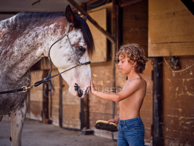 Парень в джинсах, ухаживающий за лошадью с кистью на ранчо на размытом фоне — стоковое фото
